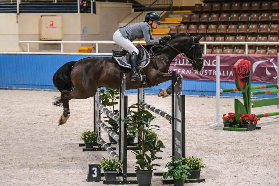 Coach Milan Capon showjumping with her horse Bing Bong.